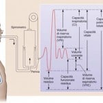 spirometrie-interpretare-la-domiciliu-apnee-somn